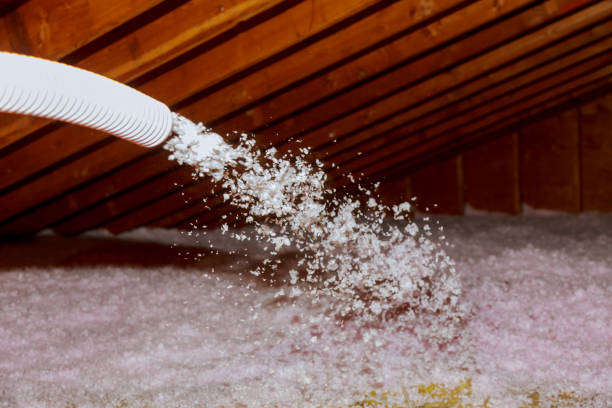 Best Insulation Installation Services in Shamokin, PA